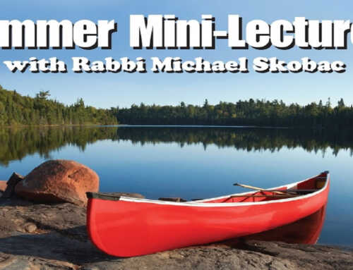 Summer Mini-lecture Series 2024