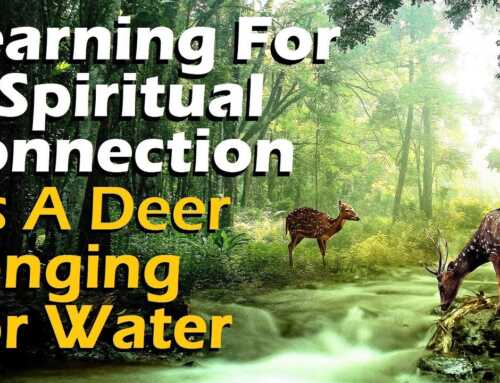 Yearning For A Spiritual Connection – As A Deer Longing For Water – With Rabbi Michael Skobac